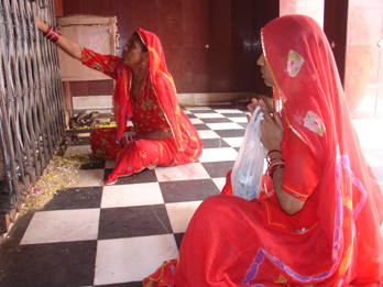 Deshnok Tempio dei topi, India